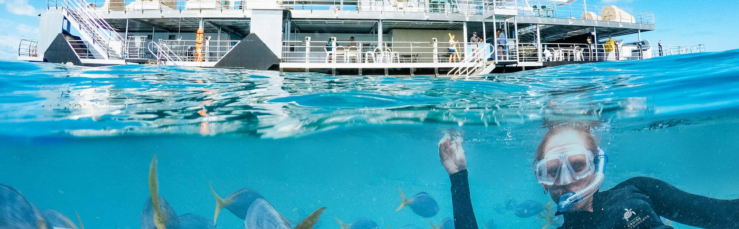 Great Barrier Reef Cruises dari Airlie Beach atau Hamilton Island