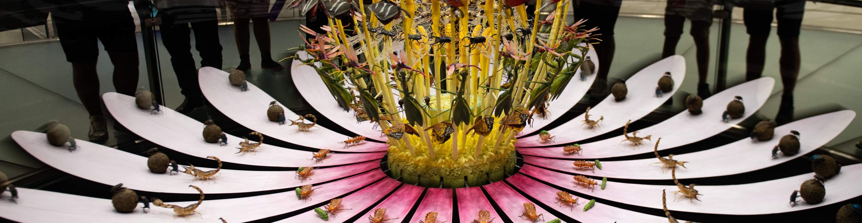 Aprenda sobre sostenibilidad a través de la historia, oponiendo desafíos para un futuro mejor.