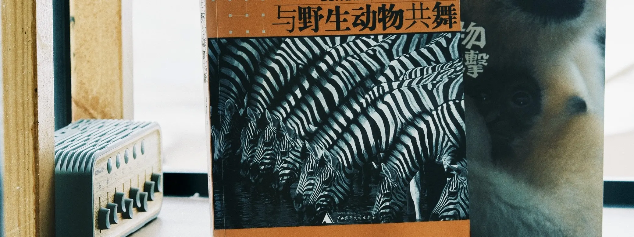 苍山自然影像博物馆