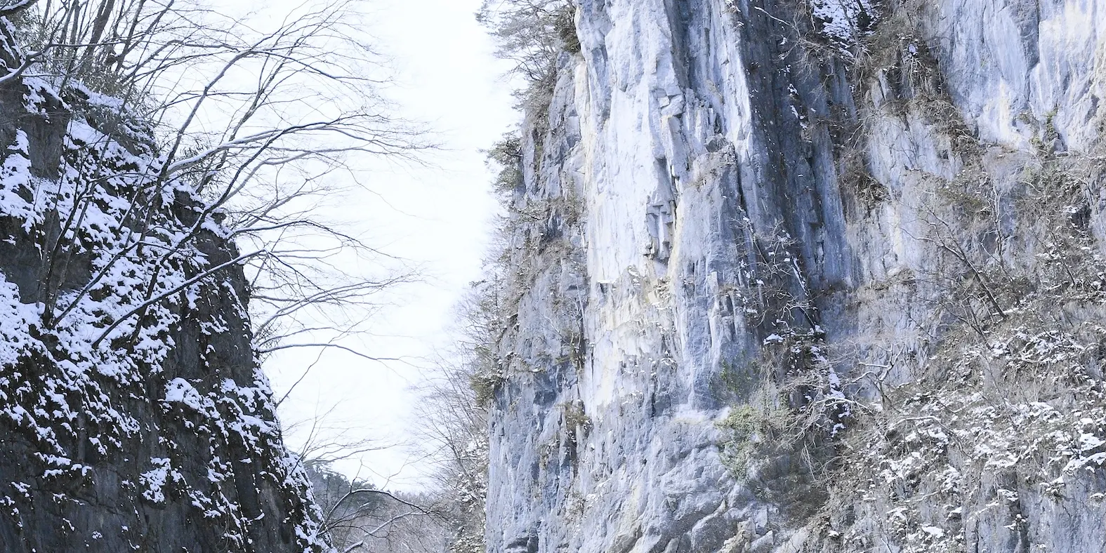 冬日白雪皑皑的猊鼻溪，宛如一幅幅经典的山水画跃然眼前