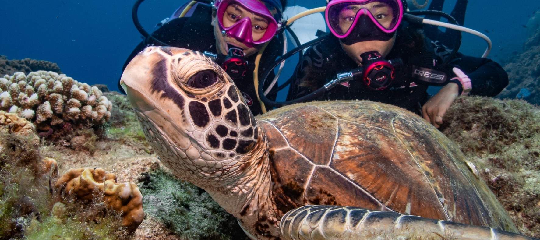 Plongée en apnée à Xiaoliuqiu : Club de sports nautiques Poseidon - Expérience de plongée en apnée
