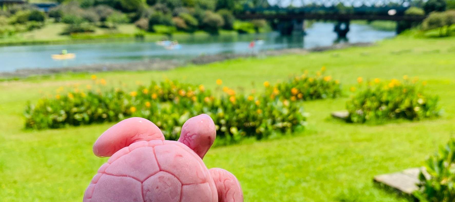 宜蘭｜冬山河生態緑舟｜電動ボート・水上自転車体験