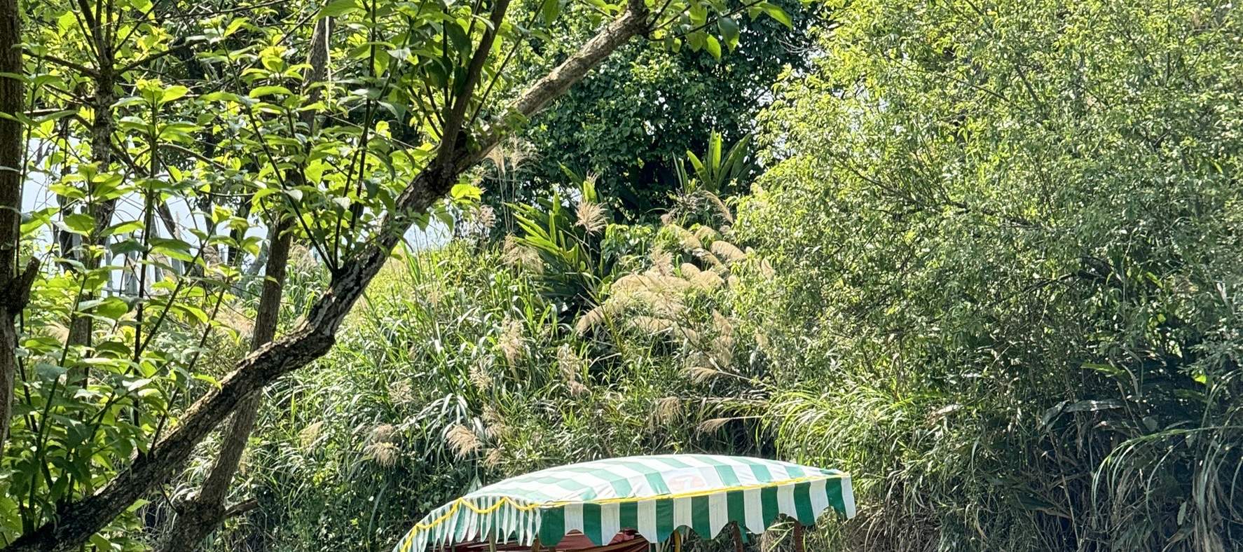 宜蘭：冬山河生態緑舟電動船 & 水上自転車