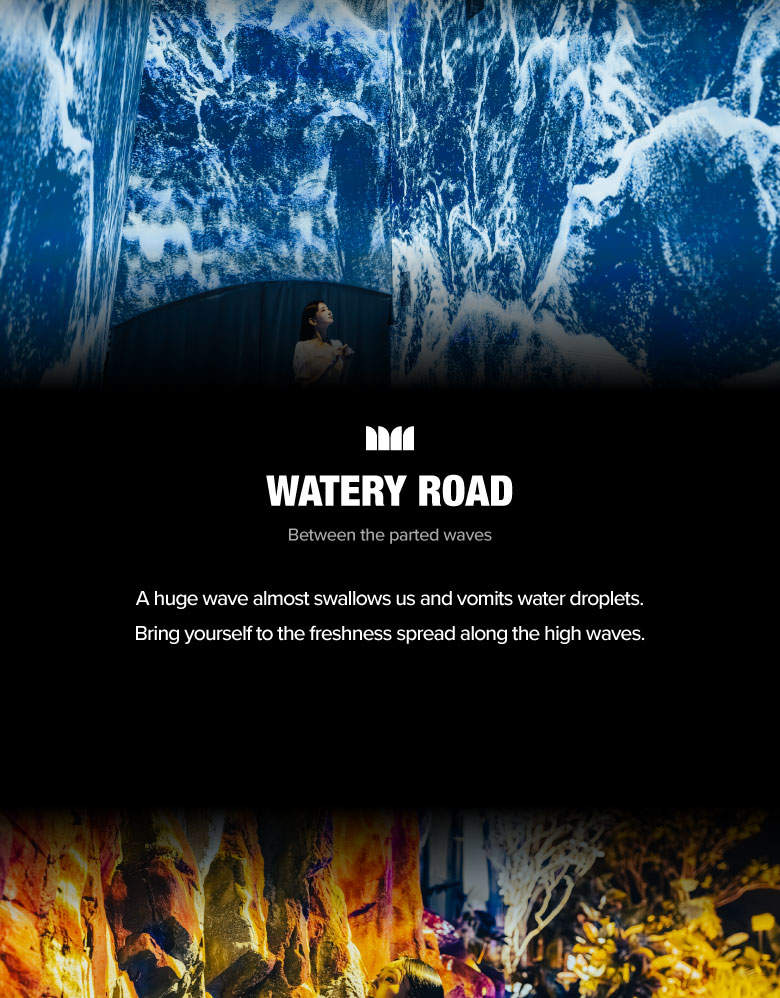 Билет в цифровой тематический парк Waterworld на Чеджу