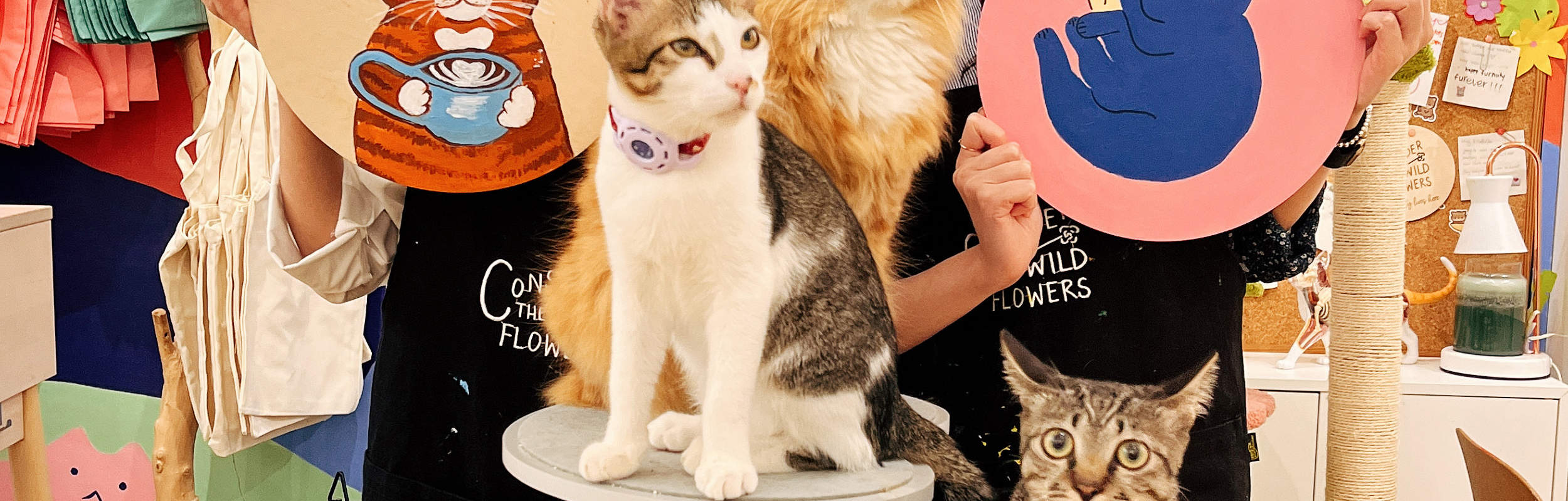 chats avec des humains