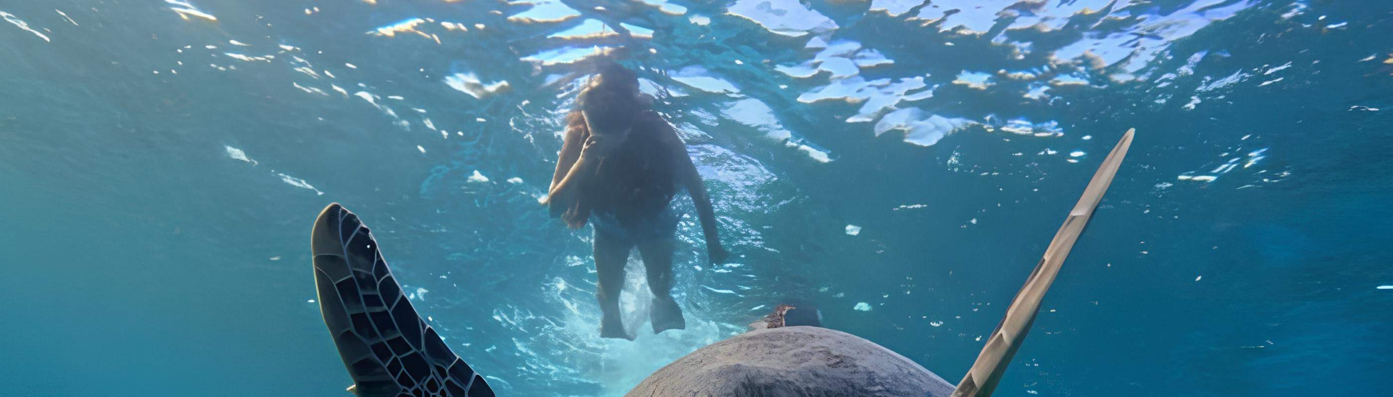 ไปสำรวจจุดกระดองเต่ากันเลย