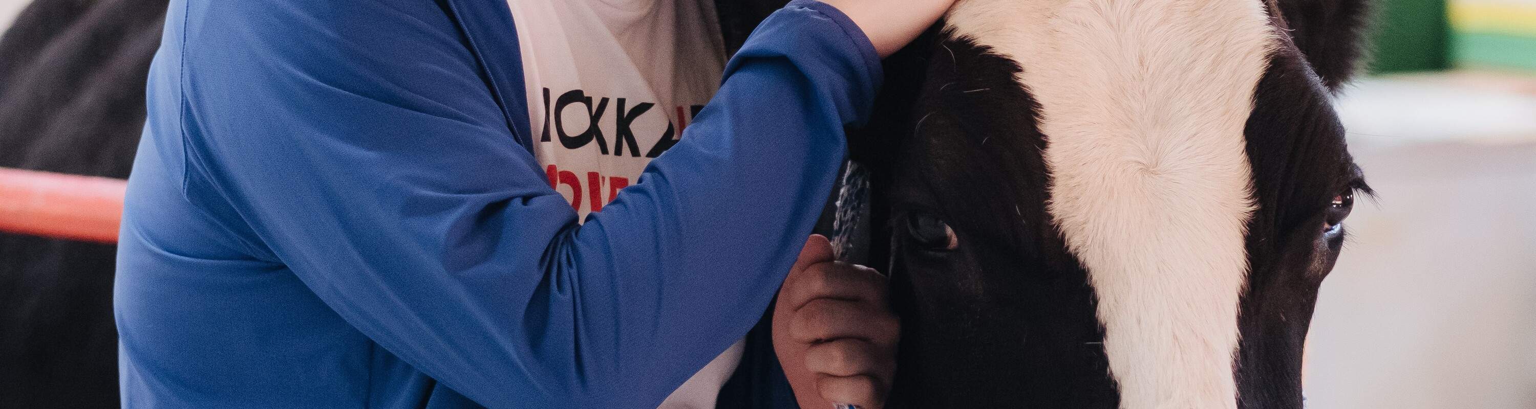 Hokkaido Farm Experience at Watanabe Farm: Meet the Cows, Milking ...
