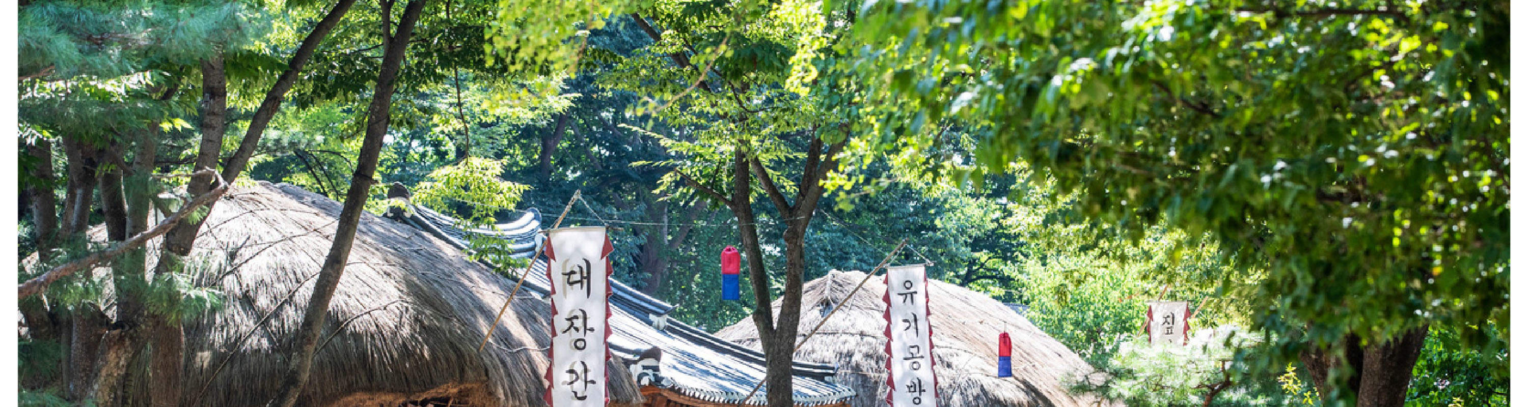Api Norean The 61st Suwon Hwaseong Cultural Festival One Day Tour dari Seoul ...