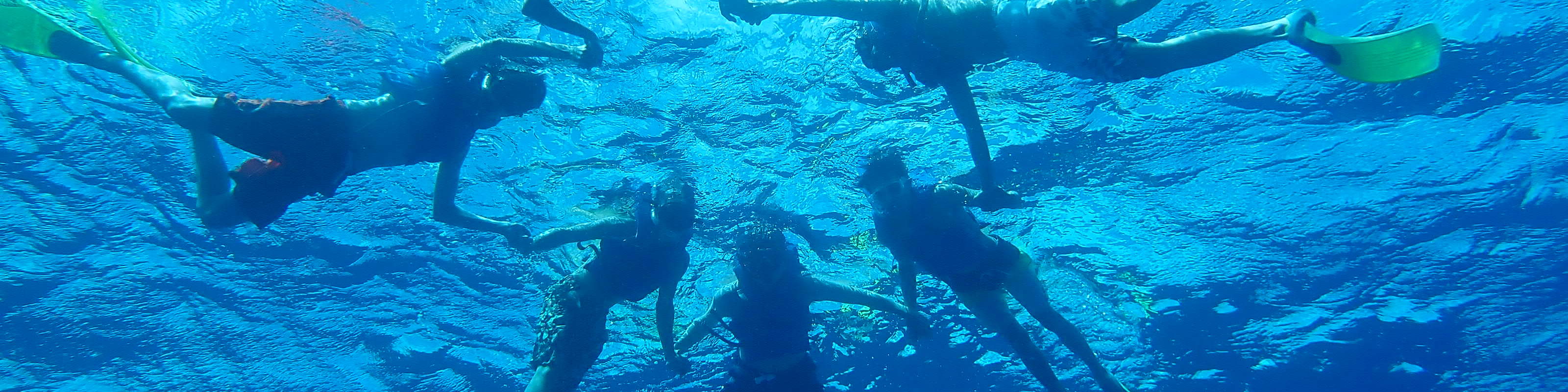 Kayak Snorkeling Penyu