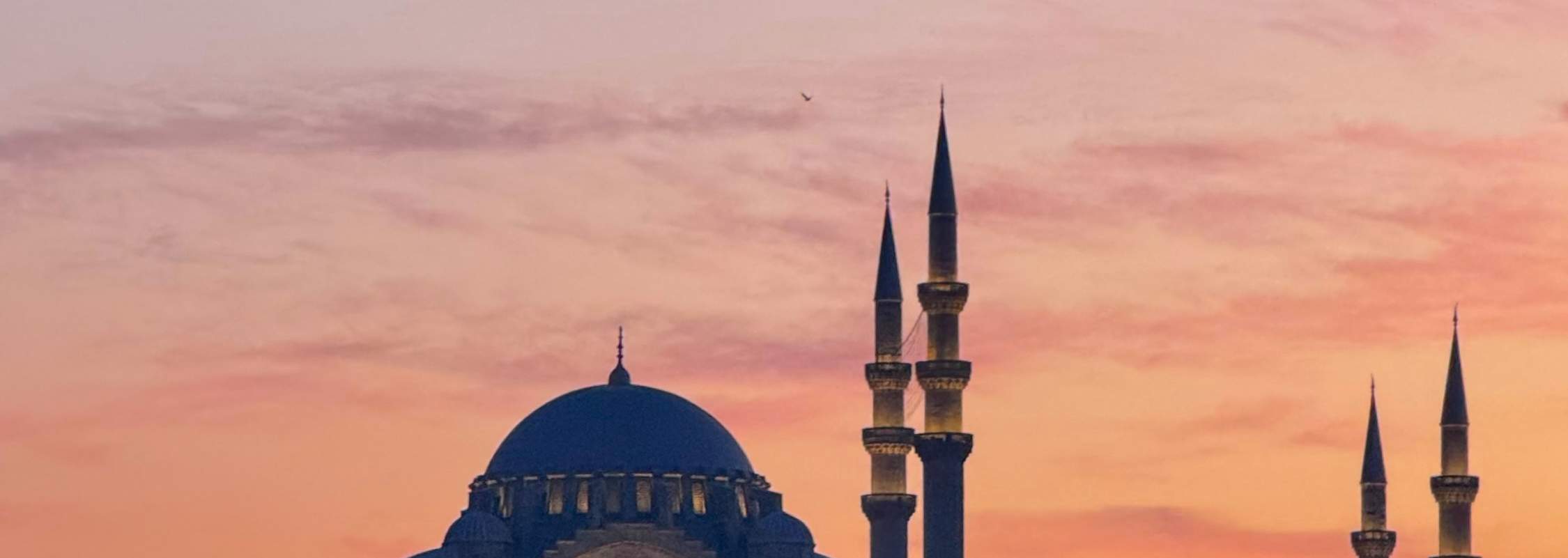 イスタンブール絶景サンセットクルーズ：アジア側探検付き3時間