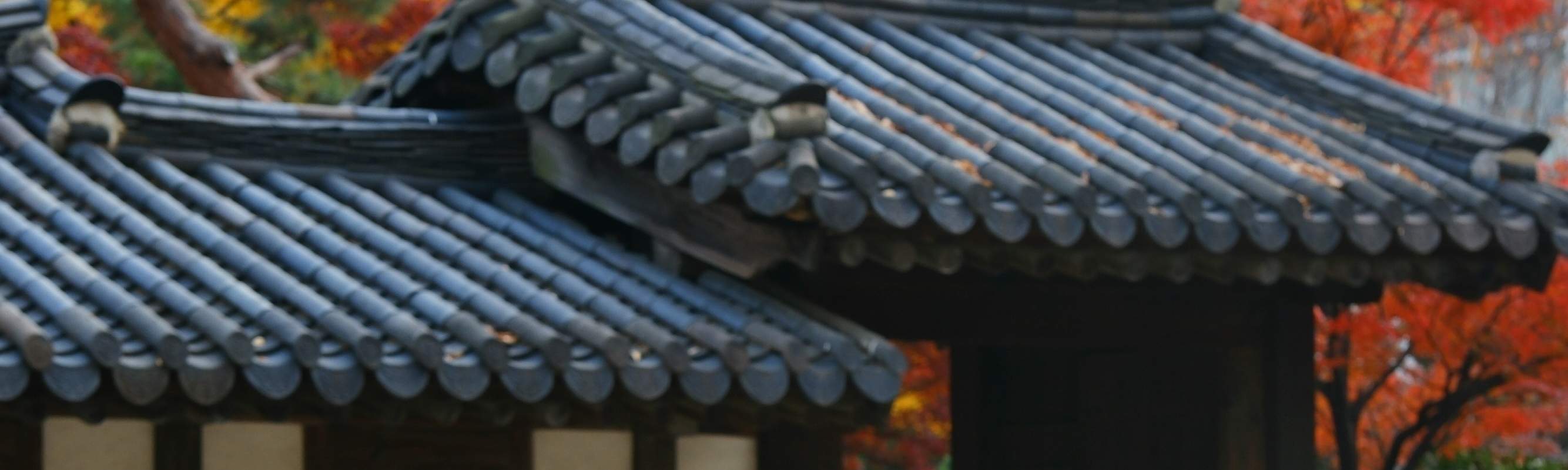 Schaffen Sie unvergessliche Erinnerungen mit Ihren Liebsten in unserem wunderschönen Hanbok. (Premium Hanbok)