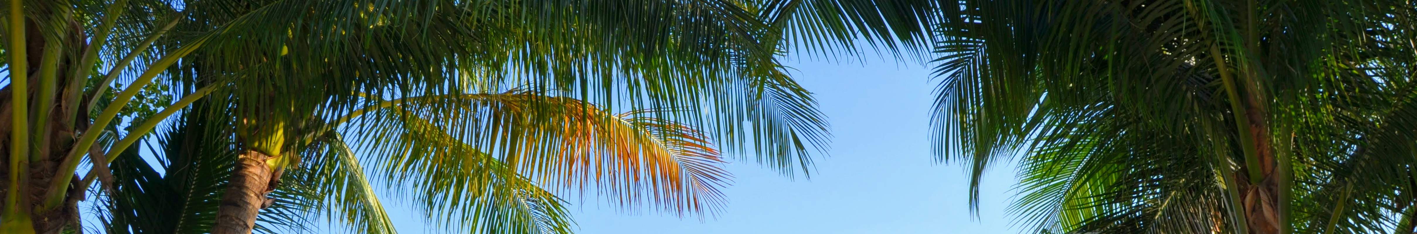 PADI Advanced Open Water Diver