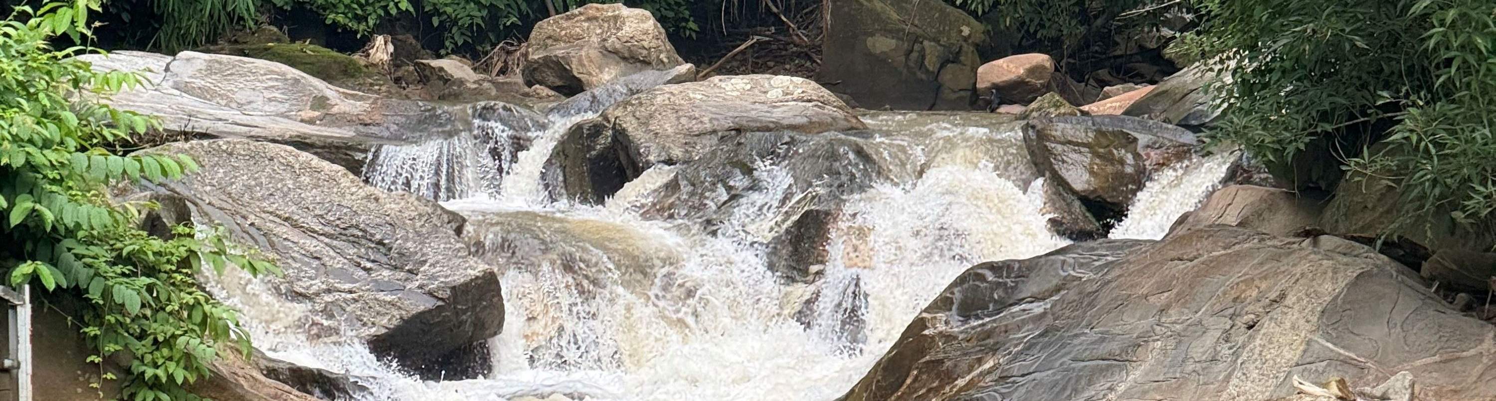 Penerokaan Kehidupan Ladang Setengah/Sehari Penuh Dari Tanah ke Meja