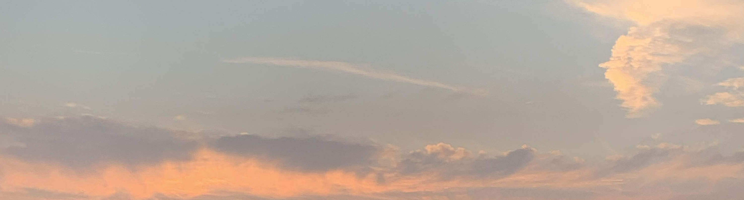 夕阳游艇巡航：美酒、音乐、小吃与趣味知识