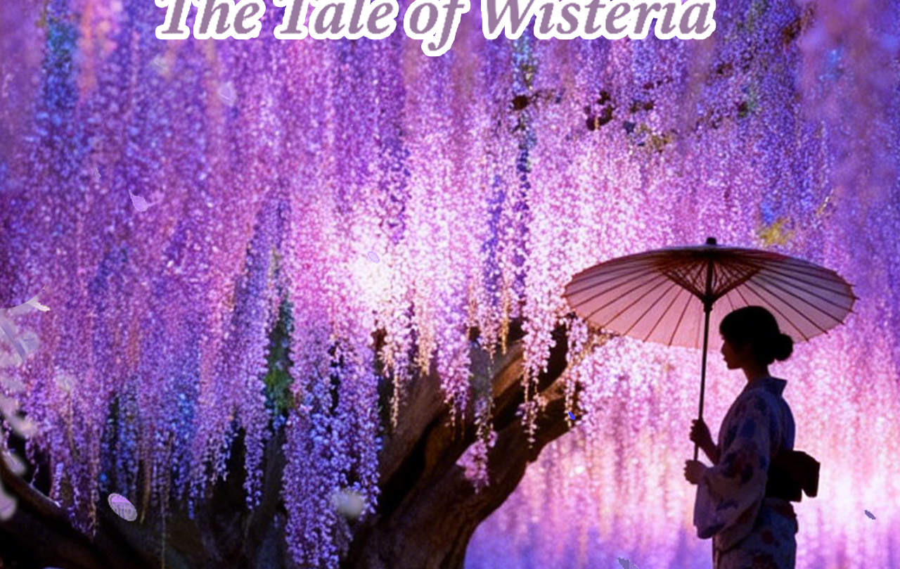 Frhlingsangebot Tagestour zum Ashikaga Flower Park (Nacht-Glyzinien),  Hitachi Seaside Park (Nemophila) & Kamiiso Torii (spektakulre Aussicht) |  Abfahrt ab Tokio - Klook Deutschland