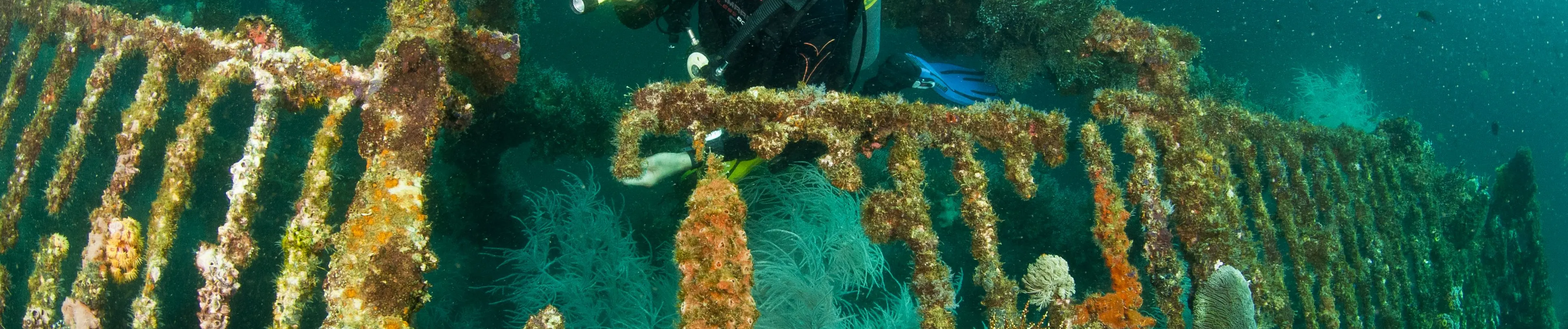 PADI 高级开放水域潜水员
