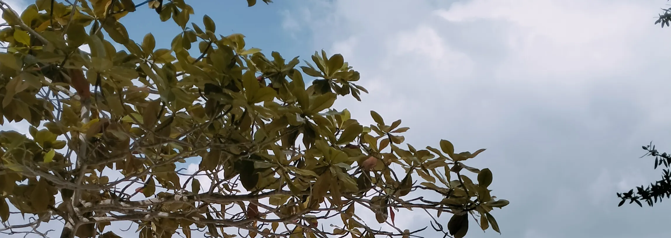 白色的沙滩，无论是沙洲还是岛上的海滩，都是放松和晒黑的完美场所！