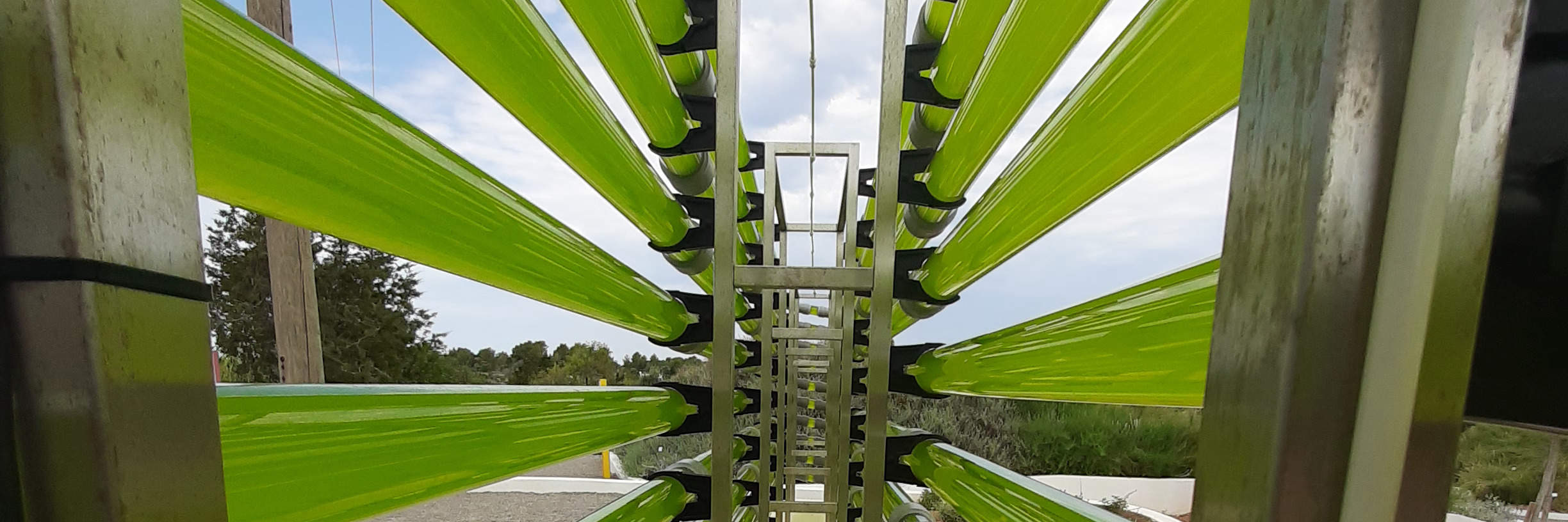 이비사 생명공학 식물원 투어