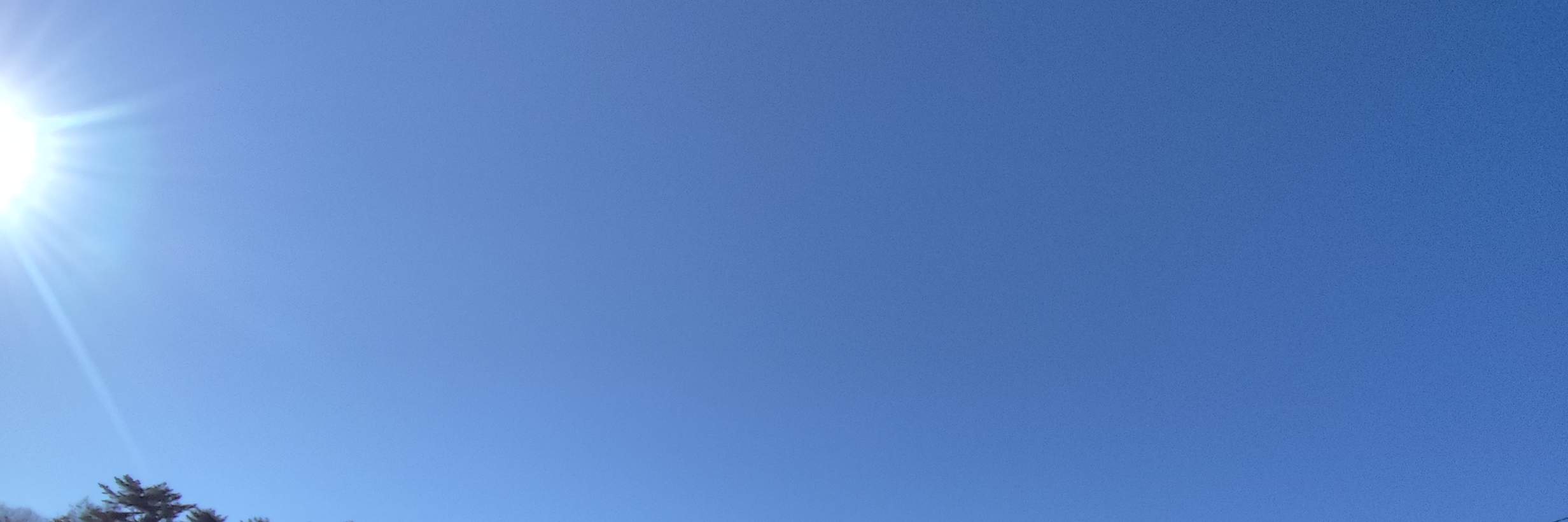 Kursus Ski & Snowboard Privat oleh Ahli di Yongpyong