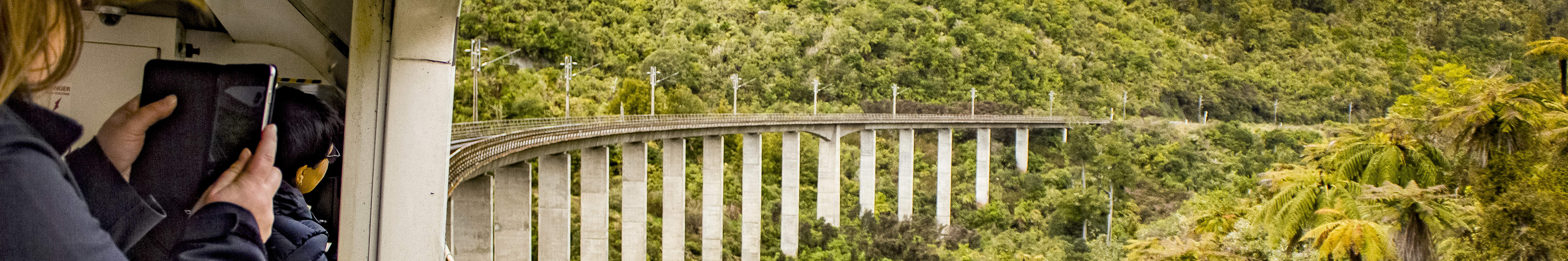 Disfrute de vistas espectaculares desde su ventana mientras recorre la ruta en tren de Auckland a Wellington