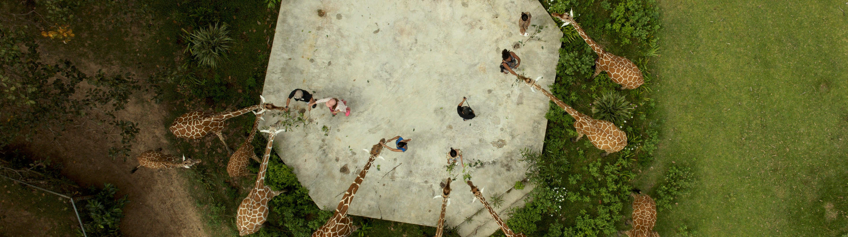 coron-calauit-safari-tour-klook