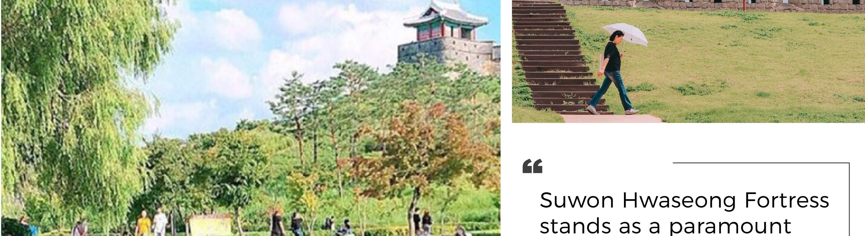 Cherry Blossom Suwon Hwaseong Fortress Tour from Seoul - Klook