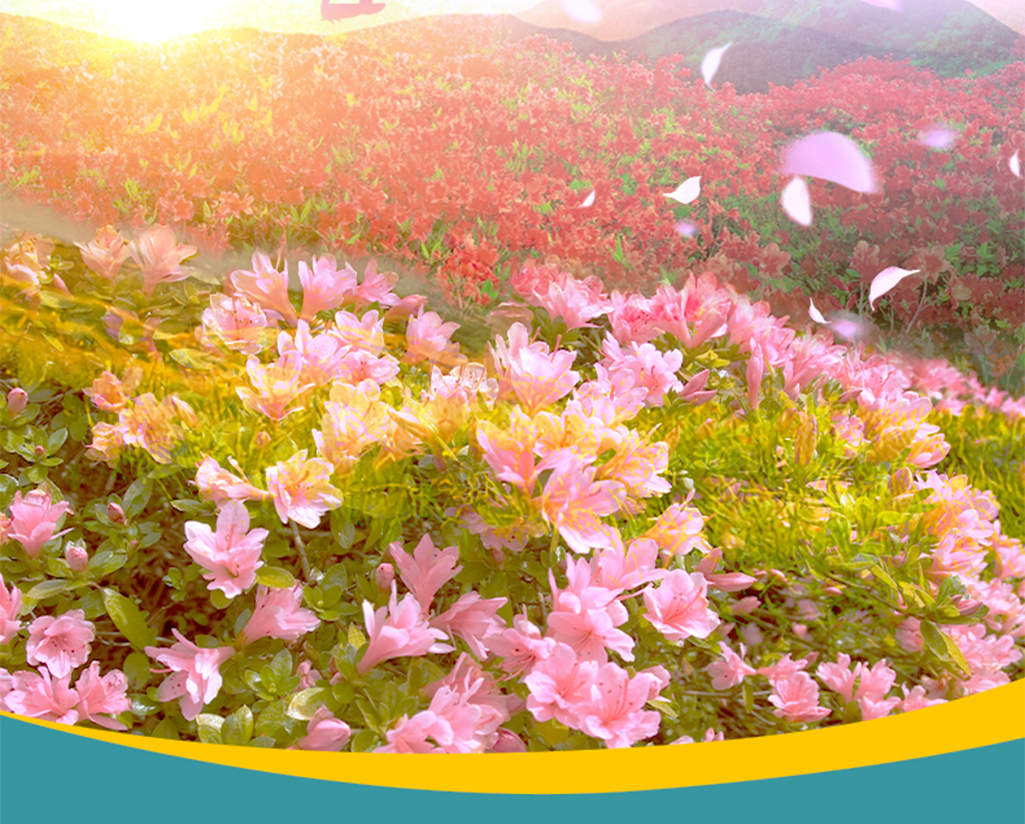 Guizhou Spring Flowers 3-Day Tour (Bai Li Rhododendron + Zhijin Cave ...