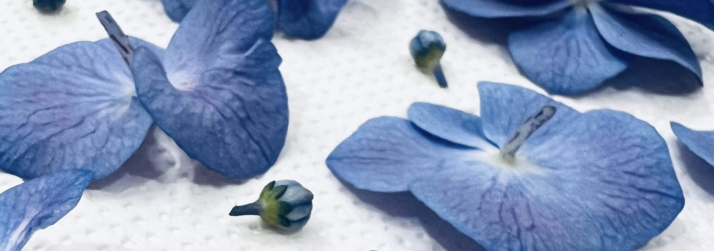 Japanese Press Floral Design Hana En