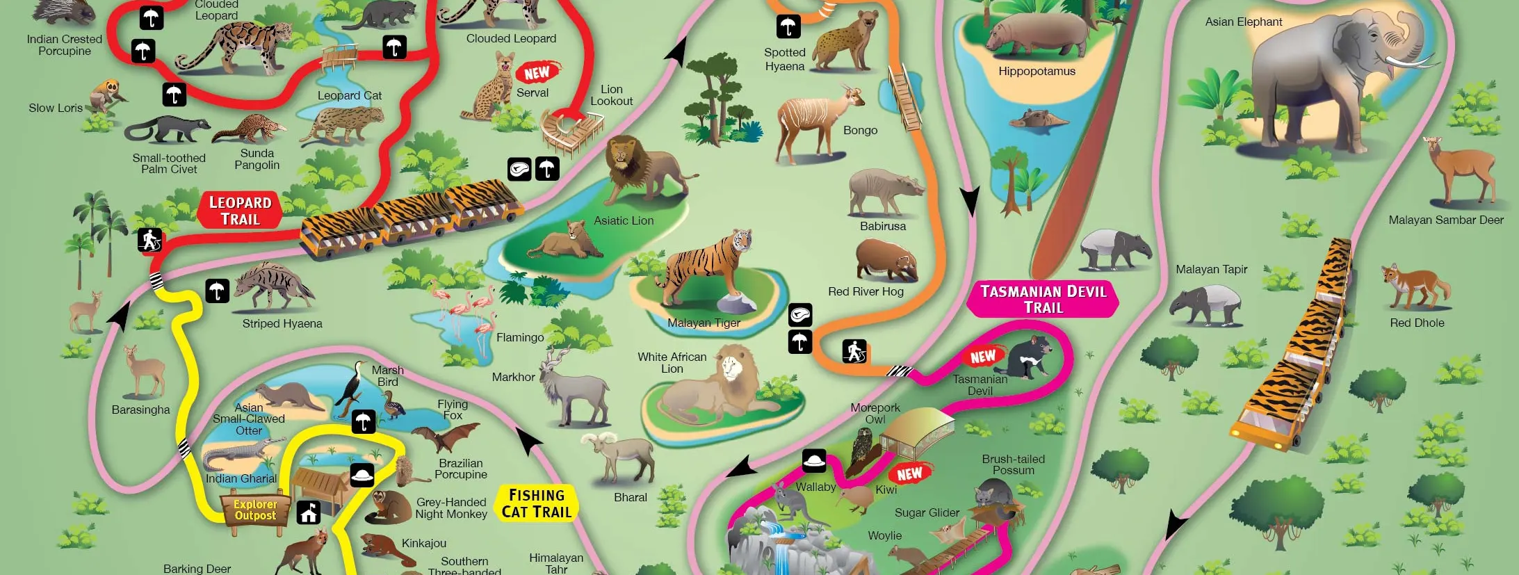 新加坡夜間野生動物園英文版地圖