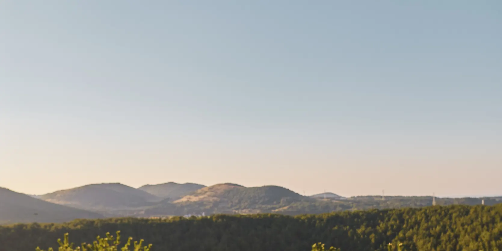 济州旅游快照摄影：家庭和情侣拍摄