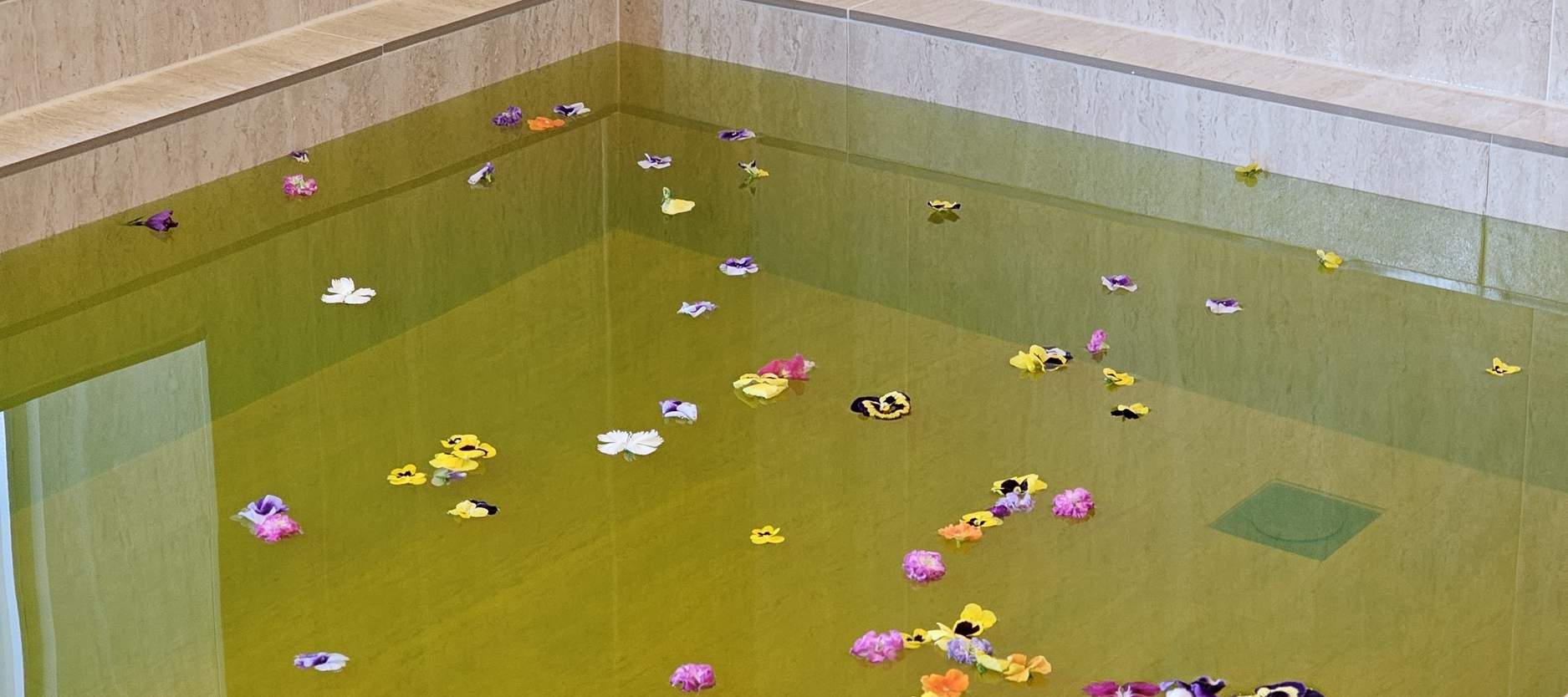 다양한 온도의 탕에서 휴식을 취해보세요. 뜨거운 온탕부터 상쾌한 허브탕까지 준비되어 있습니다. 활력을 되찾고 혈액 순환을 촉진하는 편안한 경험을 선사합니다.