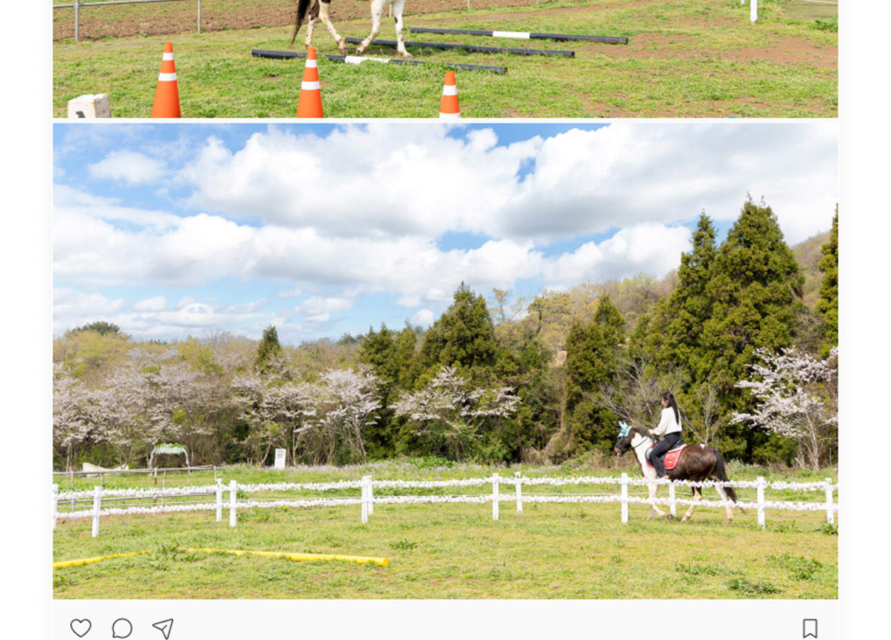 제주 토이승마장 이용권