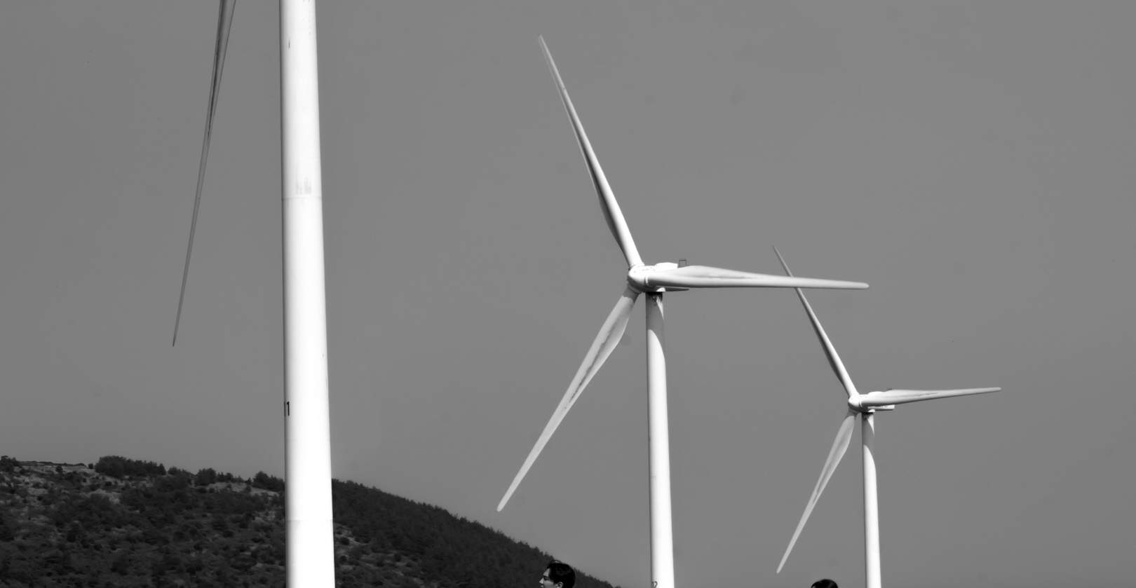 เก็บภาพความทรงจำอันสวยงามจากการเดินทางไป **เชจู** ของคุณด้วยบริการถ่ายภาพส่วนตัว 5 ชั่วโมง