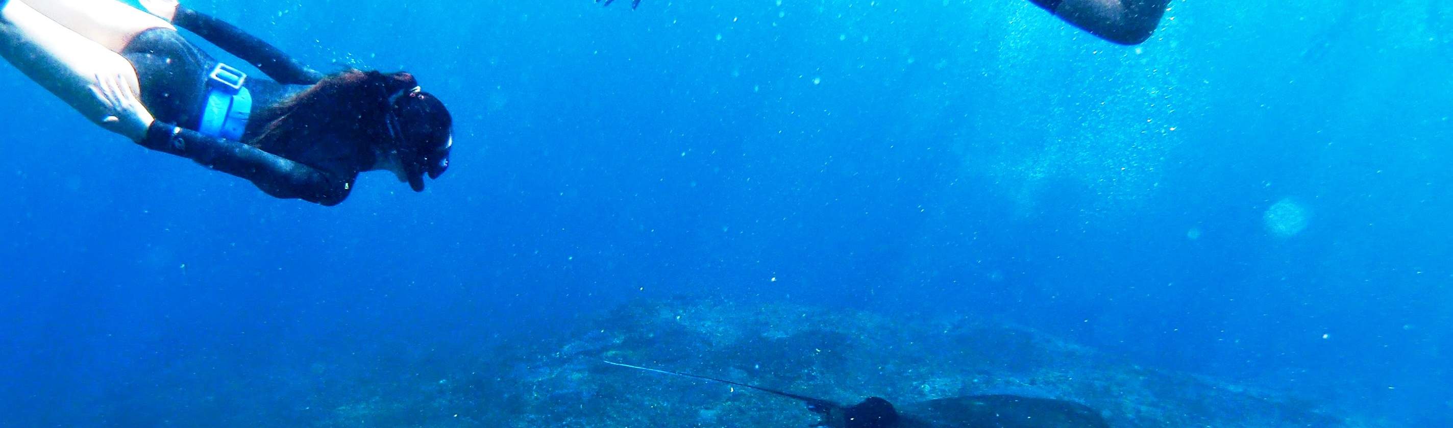 Snorkeling at Nusa Penida Manta Point with PADI 5 Star