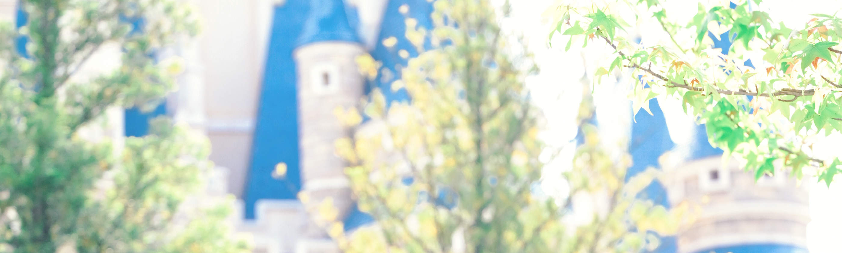 사진 촬영 (후지산, 가루이자와, 가마쿠라, 가와고에 등 원정도 가능)