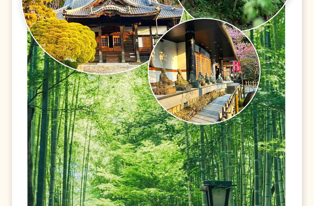 富士山&箱根&鎌倉&伊豆 人気インスタ映えスポット巡り&温泉ホテル二
