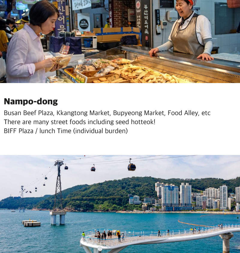 SRT One Day Private Busan City Tour (Songdo) - Klook Australia