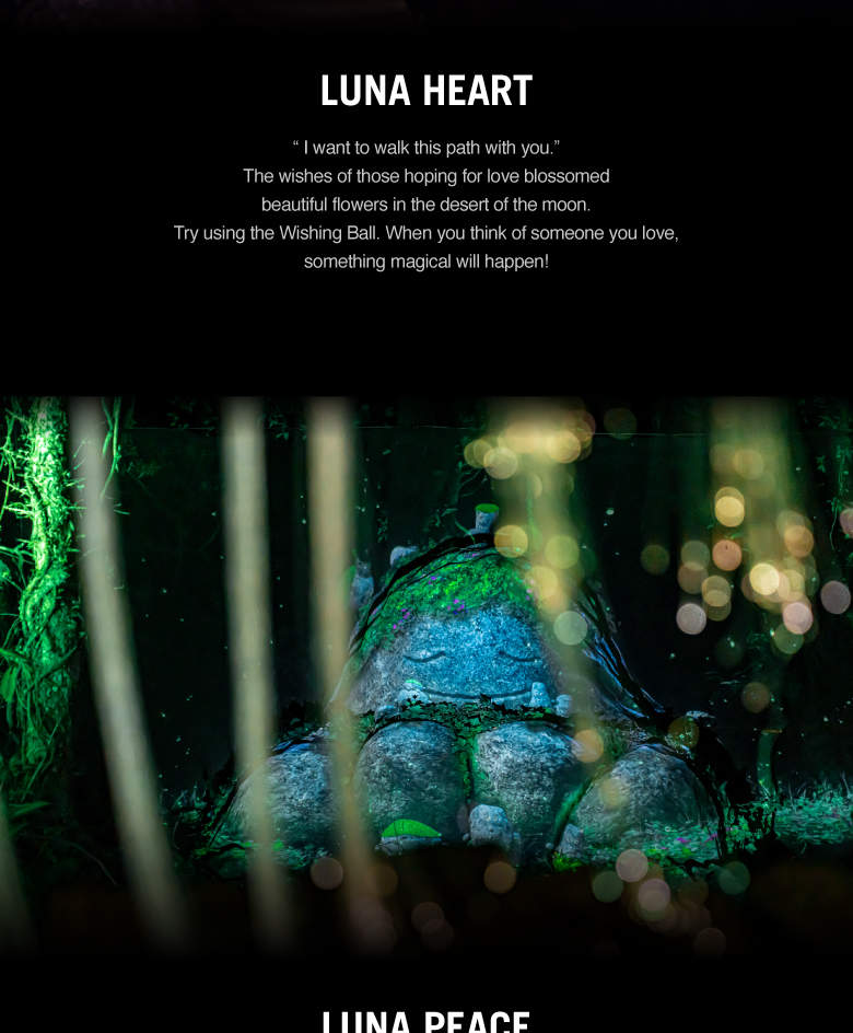 บัตรเข้าสวนสนุกดิจิทัล Lunafall ที่เชจู