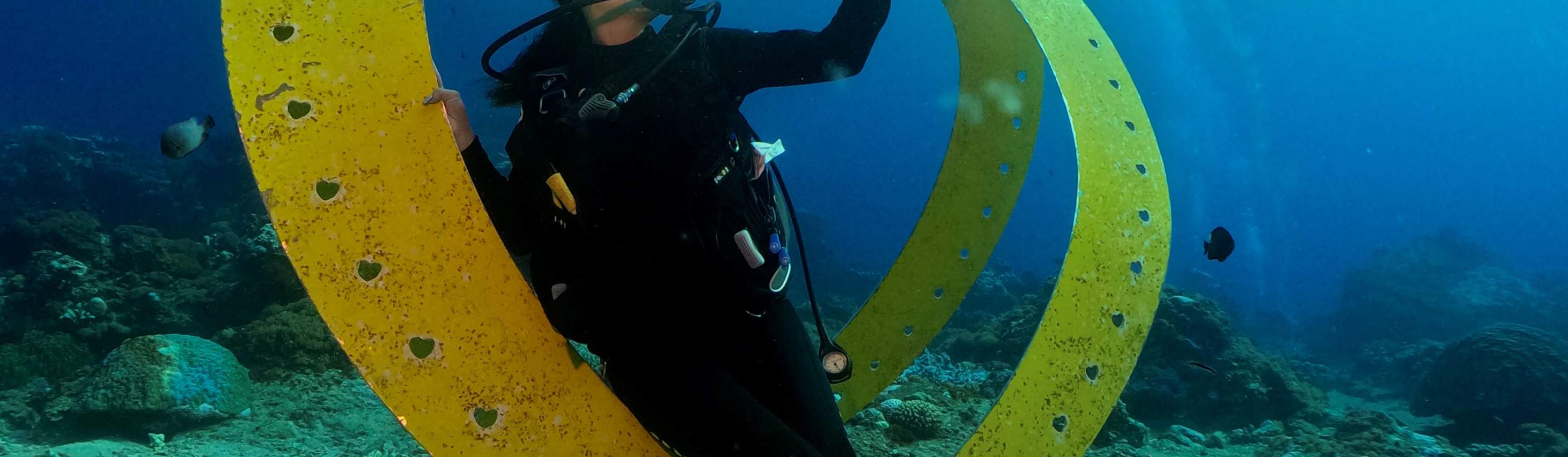 Taitung: Green Island Shuiqing Diving Hostel Taucherlebnis