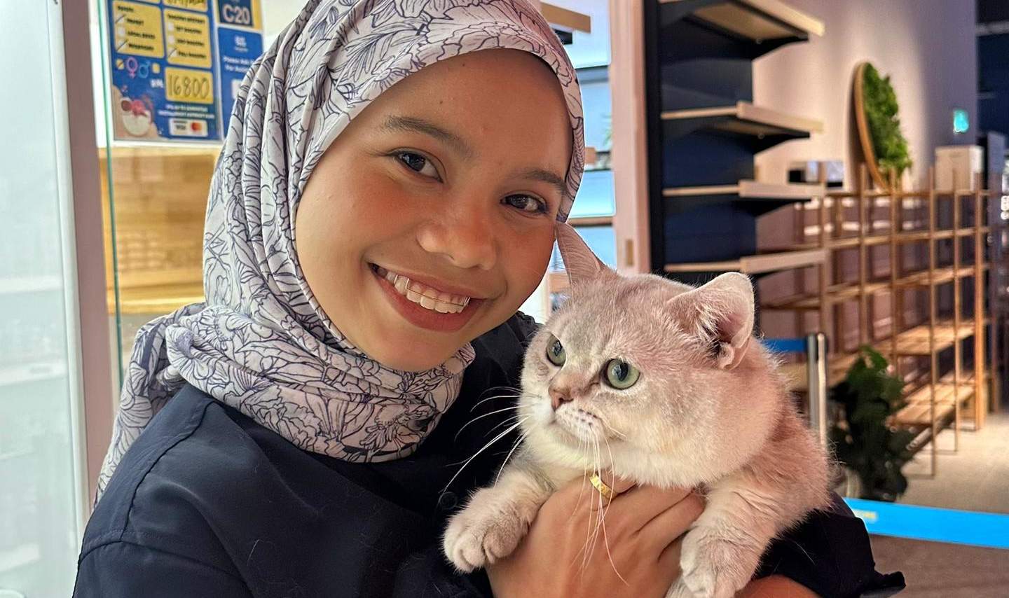 บัตรเข้าชม Just Cats 