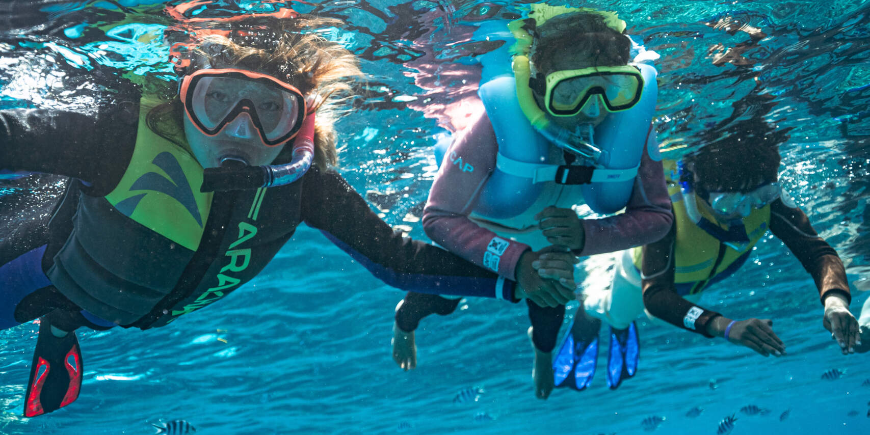 Pengalaman Konservasi Marin Pulau Kuata Lawatan Sehari Penuh