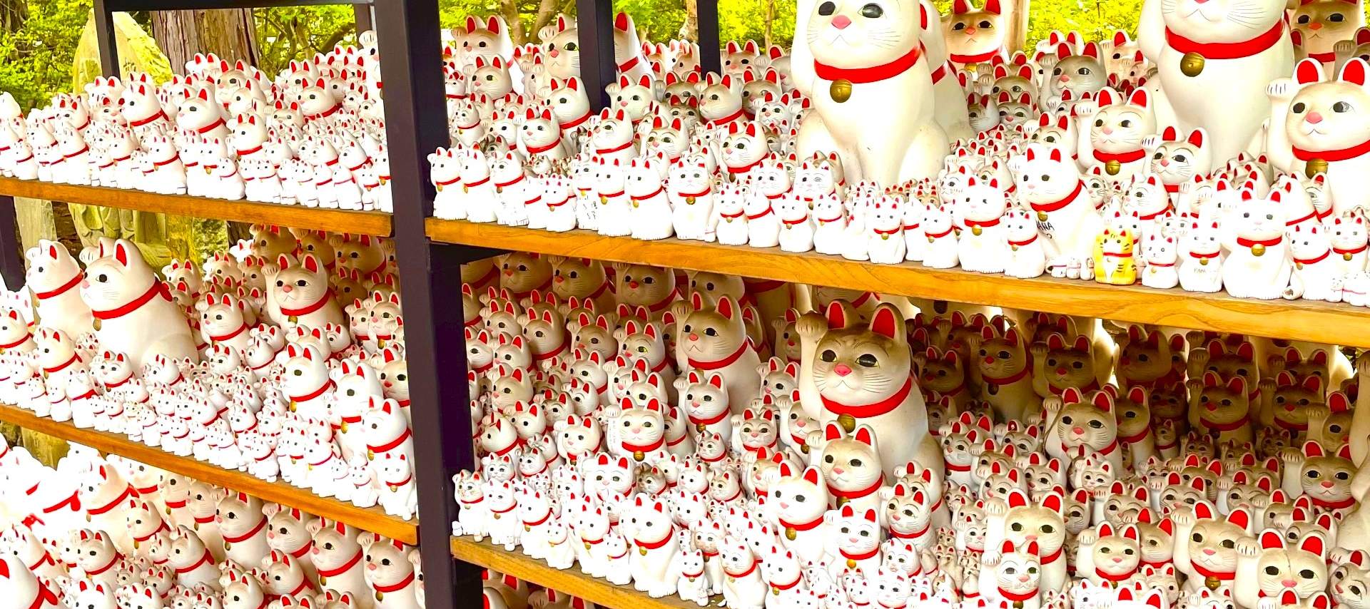 Cat Cafe Cat Gift Shop Family-Friendly Tokyo Cat Tour: Cat Temple