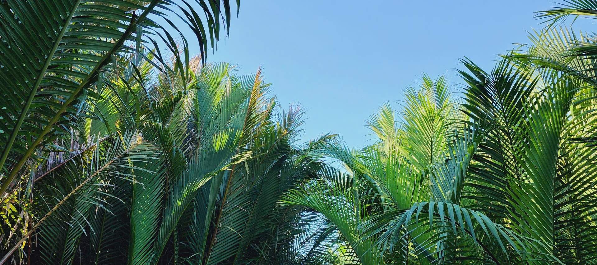 SUP体験（ホイアン）