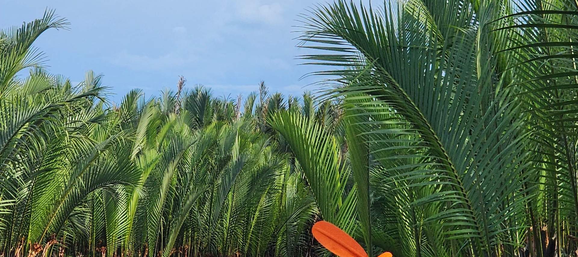 SUP体験（ホイアン）