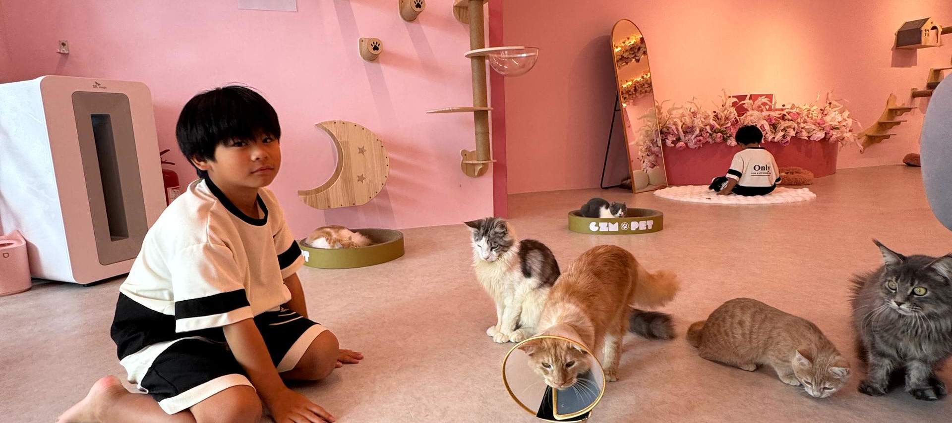 Bimbi piccoli e teneri gattini - l'amicizia più commovente!