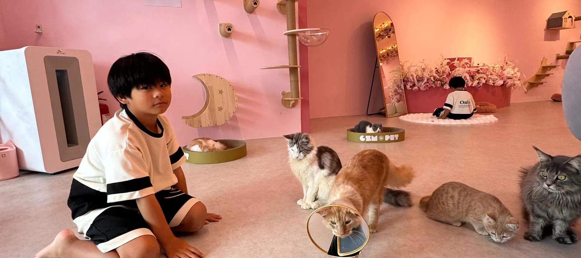 小小幼儿和可爱的小猫——最温馨的友谊！