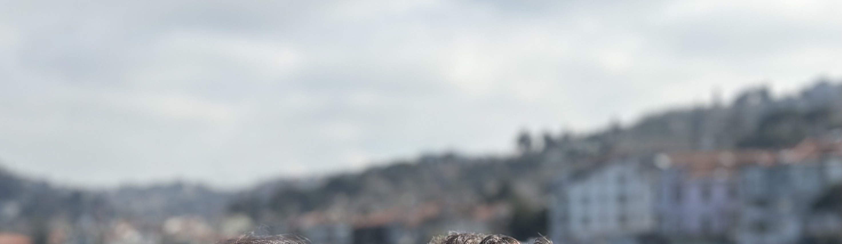 夕阳游艇巡航：美酒、音乐、小吃与趣味知识