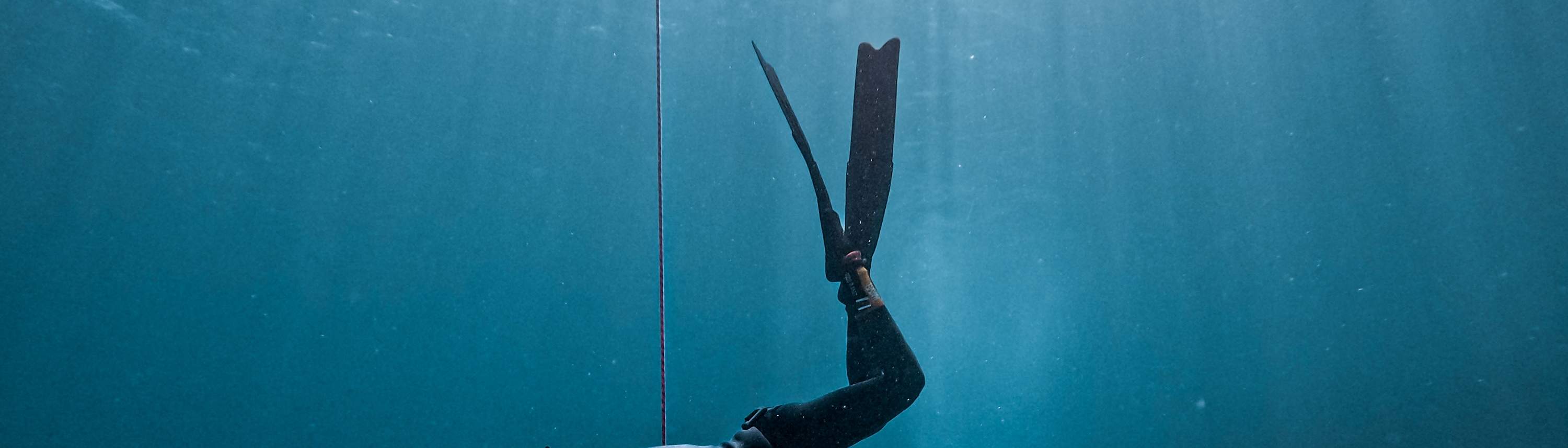 臺東: 綠島自由潛水體驗 (免證照&附海底攝影)