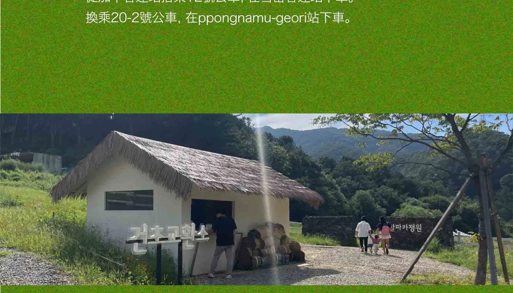 绵羊牧场 Tikcet（羊驼、绵羊、兔子） 京畿道加平