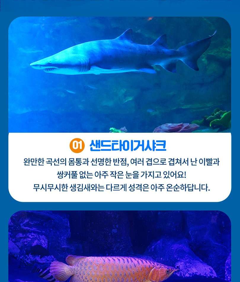 서울스카이 + 롯데월드 아쿠아리움 입장권